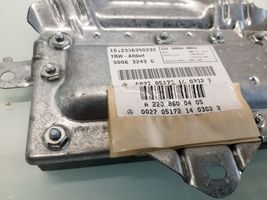 Mercedes-Benz S W220 Airbag de la puerta trasera A2208600405