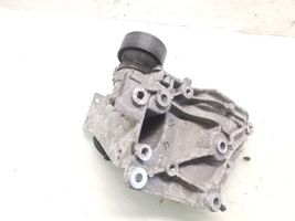 Citroen DS5 Napinacz paska alternatora 