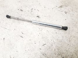 Volkswagen Phaeton Tailgate/trunk strut/damper 