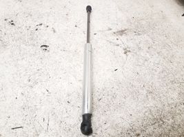 Volkswagen Phaeton Tailgate/trunk strut/damper 