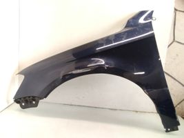 Volkswagen PASSAT B7 Fender 