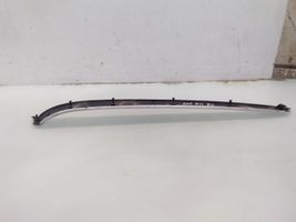 Audi A4 S4 B6 8E 8H Moulure/baguette de porte avant 8E0867409