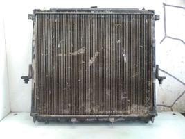 Nissan Navara D40 Radiateur de refroidissement 68717