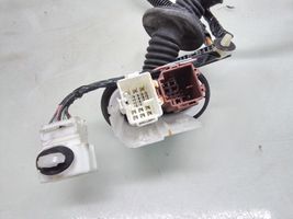 Honda CR-V Cableado de puerta delantera 32754SWAG002