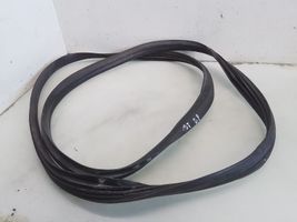 Peugeot 107 Front door rubber seal 