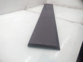 Citroen Jumper Rivestimento della portiera anteriore (modanatura) 