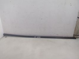 Fiat Bravo Front door glass trim molding 