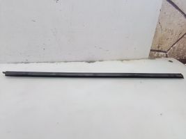 BMW 3 E46 Front door glass trim molding 