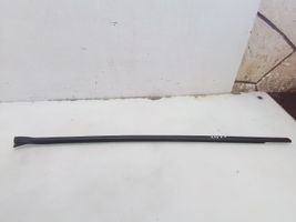 BMW 3 E46 Front door glass trim molding 