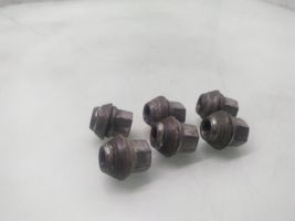 Ford Focus Nuts/bolts 