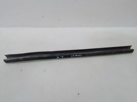 Ford Connect Front door glass trim molding 