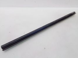 Ford Connect Front door glass trim molding 
