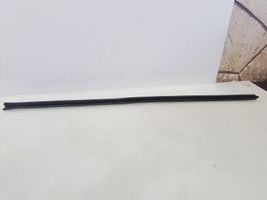 Opel Zafira B Rubber seal rear door window/glass 