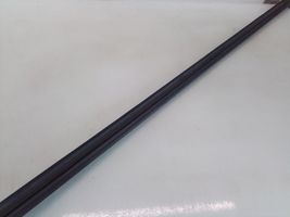 Peugeot 1007 Front door glass trim molding 