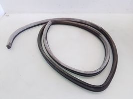 Chevrolet Aveo Rear door rubber seal (on body) 