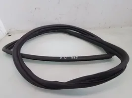 Volvo S70  V70  V70 XC Rear door rubber seal (on body) 