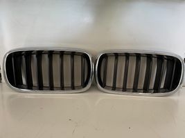 BMW X5 F15 Griglia anteriore 7316076