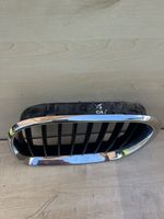 BMW X5 E53 Grille de calandre avant 51138247673