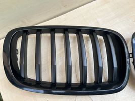 BMW X6 E71 Front grill 7305591