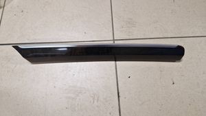 Audi Q7 4L Barra di rivestimento della portiera anteriore 4L0867410