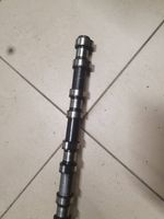 BMW 5 E60 E61 Camshaft 7791579