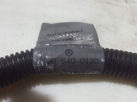 Mercedes-Benz S W220 Positive cable (battery) 2205400130