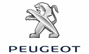 Peugeot 406 Unterfahrschutz Unterbodenschutz Motor 9637227780