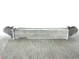 Mercedes-Benz E W211 Radiatore intercooler A2115001102