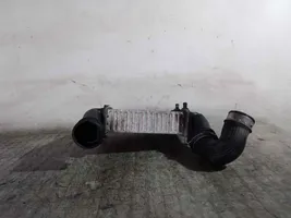 Volkswagen PASSAT Starpdzesētāja radiators 3B0145805D