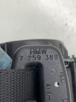 BMW 3 GT F34 Pas bezpieczeństwa fotela tylnego 7259389