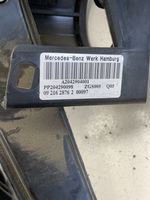 Mercedes-Benz E A207 Stabdžių pedalas 204290109