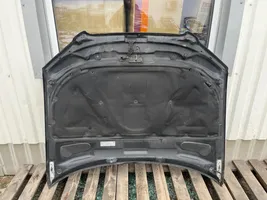 Audi A4 S4 B7 8E 8H Dangtis variklio (kapotas) LZ9Y