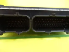 Rover 25 Sterownik / Moduł ECU NNN100743