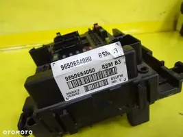 Peugeot 307 BSM Control unit 9650664080