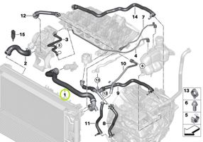 Mini One - Cooper F56 F55 Tuyau de liquide de refroidissement moteur 7617363