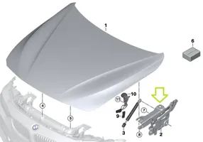 BMW 4 F32 F33 Charnière, capot moteur 7336700