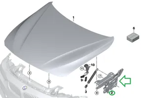 BMW 4 F32 F33 Charnière, capot moteur 7336700