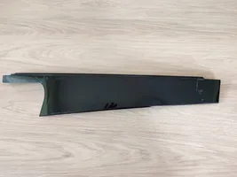 BMW X3 G01 Verkleidung Türfenster Türscheibe hinten 7410046