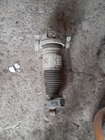 Audi Q7 4L Ammortizzatore/sospensione pneumatica 7L8616019A