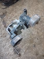 Toyota Land Cruiser (J120) Tendicinghia generatore/alternatore 