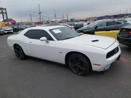 Dodge Challenger Sunroof sealing rubber 