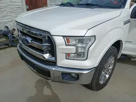 Ford F150 Priekinis pusašis 