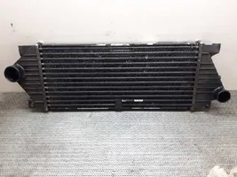 Mercedes-Benz ML W163 Radiatore intercooler 1035042