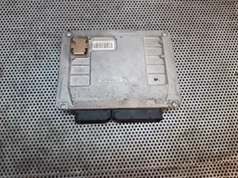 Seat Ibiza III (6L) Sterownik / Moduł ECU 03E906033AM