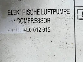 Volkswagen Touareg II Tire air pump compressor 4L0012615