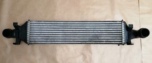 Mercedes-Benz CLA C117 X117 W117 Starpdzesētāja radiators A2465000900