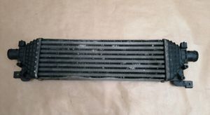 Ford Fusion Starpdzesētāja radiators 5S6H9L440AD