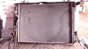 Chevrolet Lanos Dzesēšanas šķidruma radiators 96553428