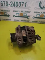 Nissan Pathfinder R51 Alternador REC2035192.0