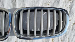 BMW X6 E71 Front grill 7171396